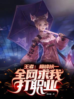 王者:巅峰榜一!全网求我打职业
